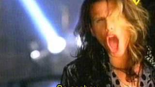 Aerosmith - Hole In My Soul Traduzido