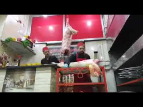 حضرموت البخاري المندي الأصلي الشيف محمد الخولي براق مصر