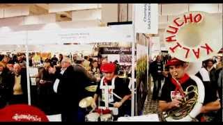 Gaston Révolte en musique au Salon de l'Agriculture 2013