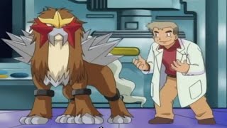 Poke TV Specials: Legendary Entei Attacks Professor Oak || Funny moment