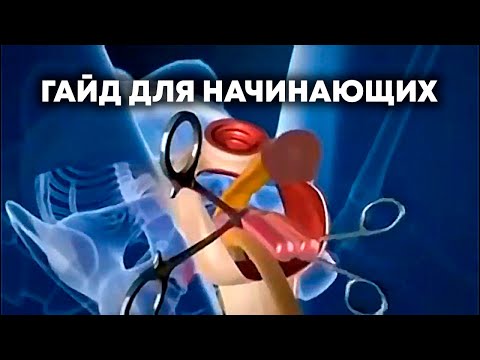 КАК СМЕНИТЬ ПОЛ В ДОМАШНИХ УСЛОВИЯХ
