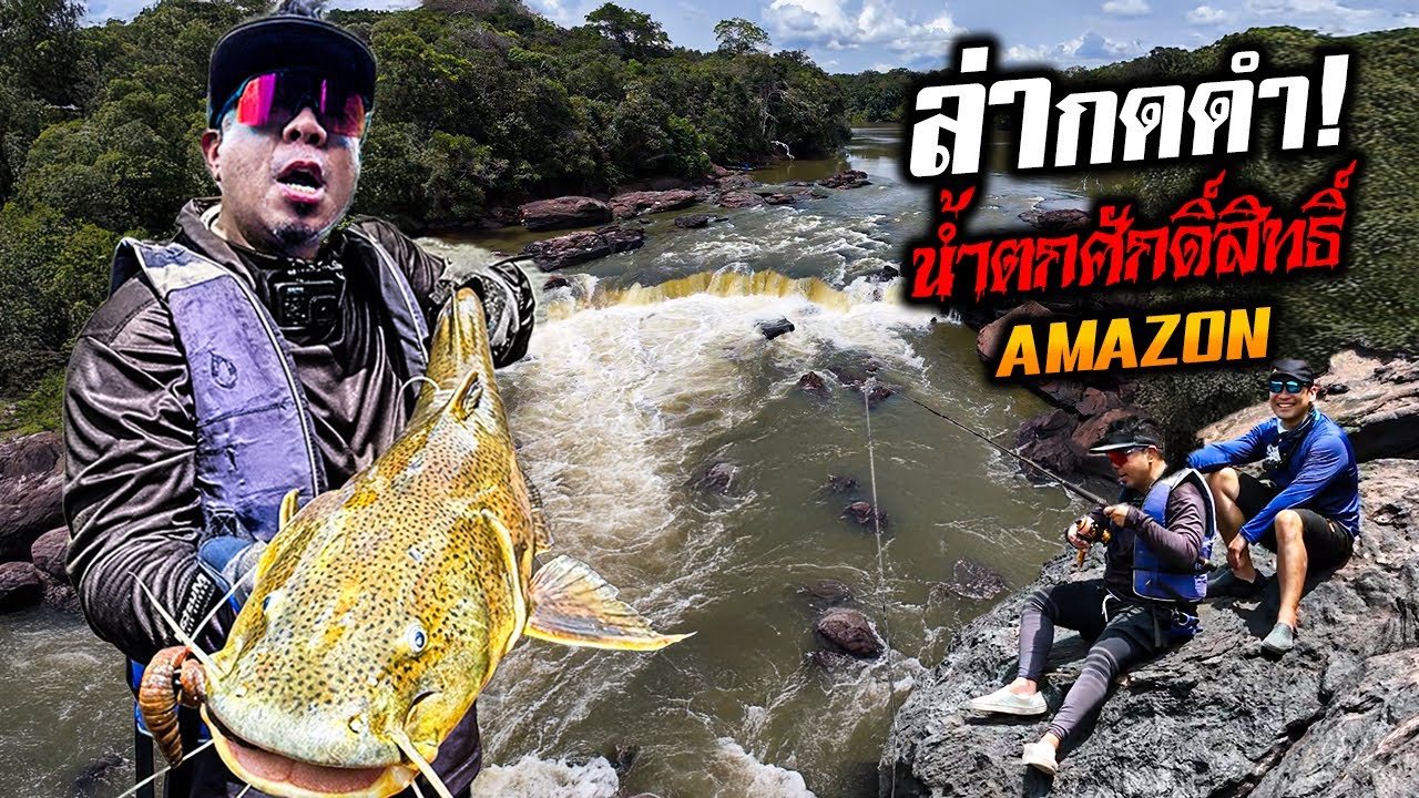 ตามล่า 'ปลากดดำ' ที่น้ำตกศักดิ์สิทธิ์แห่งแอมะซอน!