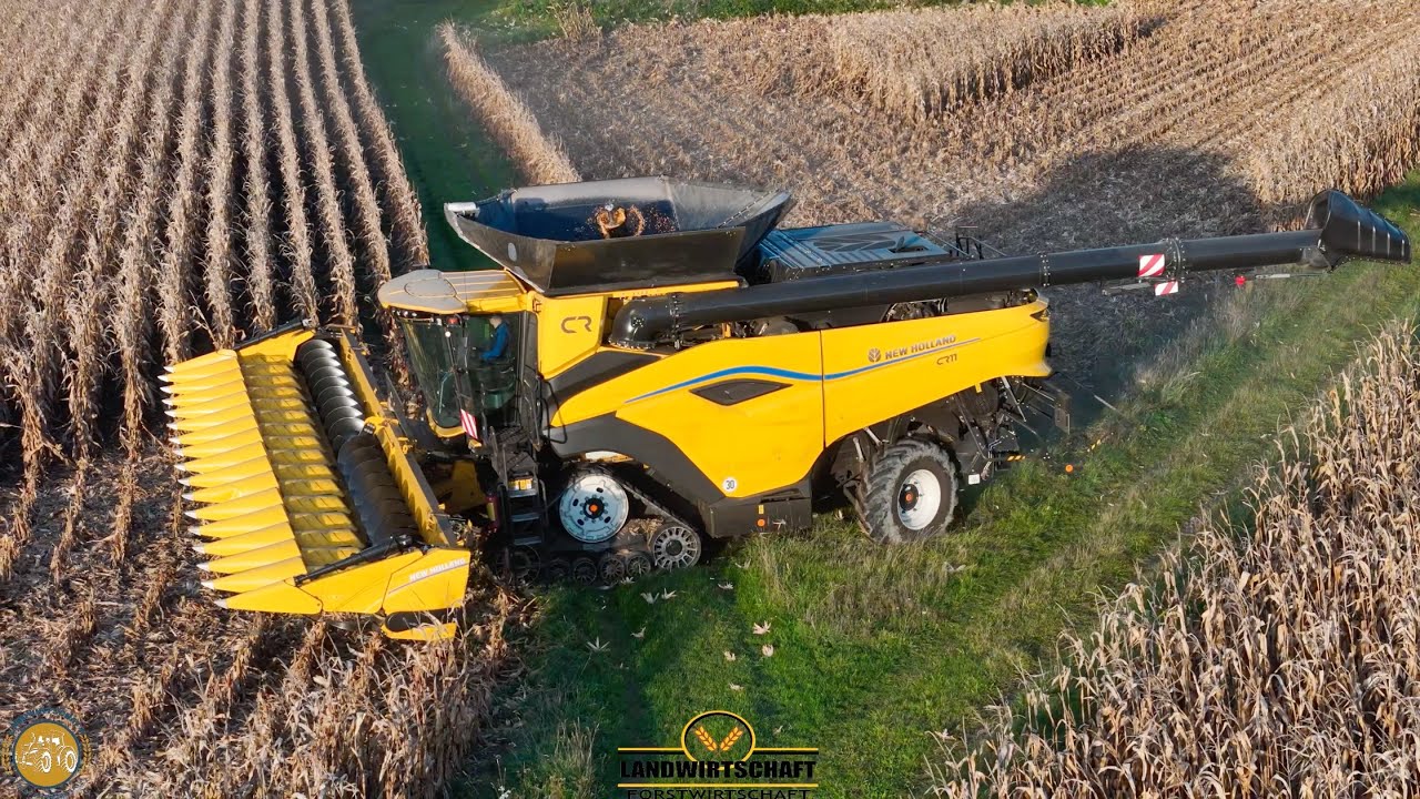 16 Reihen Mais auf einmal CR11 Mähdrescher Körnermais Ernte Mais dreschen Landwirtschaft New Holland