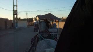 DSCF0273.AVI