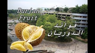 Durian Fruit || تعرف على فاكهة الدوريان