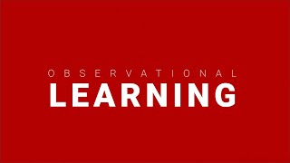 Observational Learning Examples in Advertising / Consumer Behavior