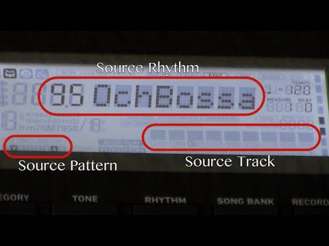 Video 6