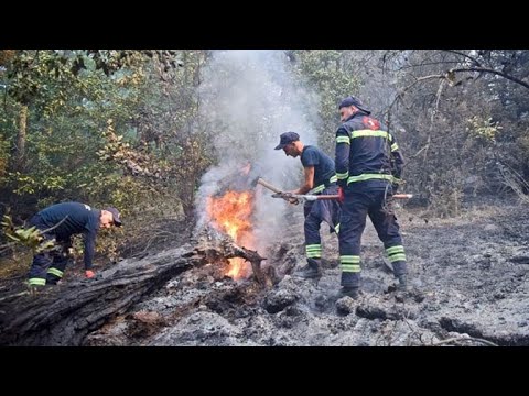 ხანძარი ბორჯომში