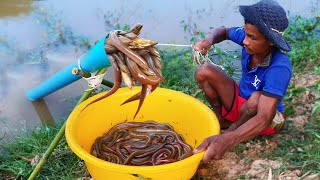 Primitive technology - Making Trap To Catch Eel  using PVC Long tube to lure Eel Trap Work 100%