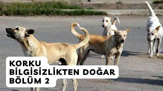 Korku Bilgisizlikten Doğar Bölüm 2