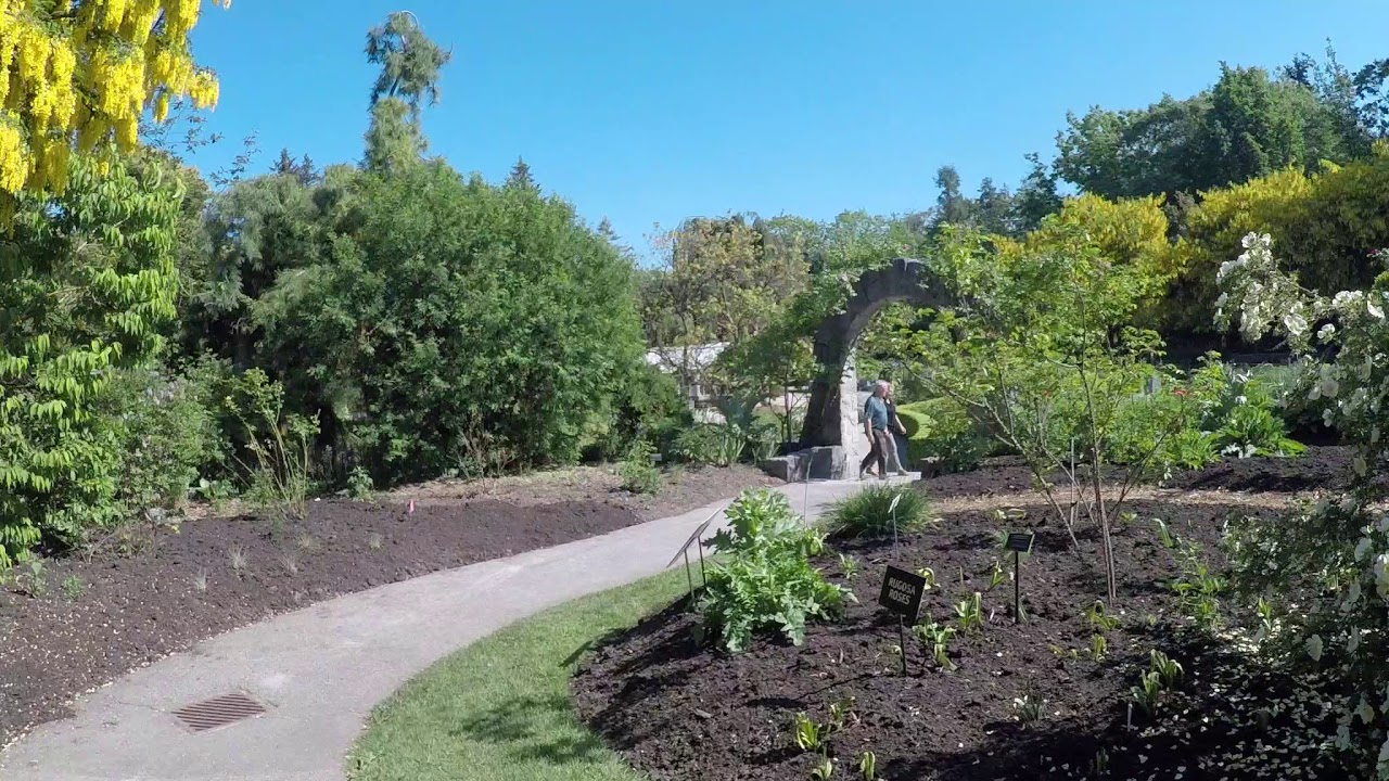 Vancouver Botanical Gardens Spring 2018 Vandusen Garden In Canada