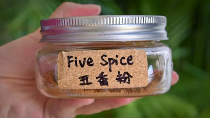 How to Make Chinese Five Spice (五香粉) - DayDayNews