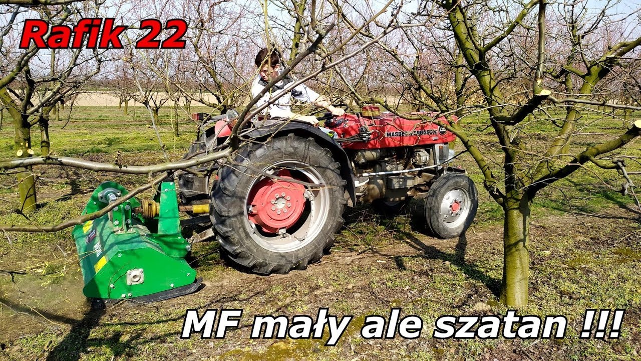 Rozdrabnianie gałęzi 2020. MF 135 i kosiarka bijakowa EFGC 125.