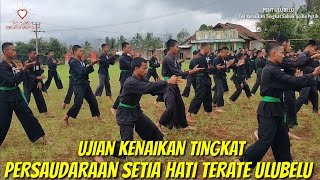 Siswa Hijau PSHT Ulubelu (Tes Kenaikan Tingkat)