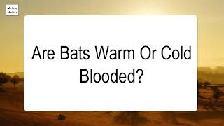 Are Bats Warm Or Cold Blooded