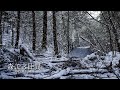 雪降りしきる銀世界の森の中で3日間の雪中ソロキャンプ。