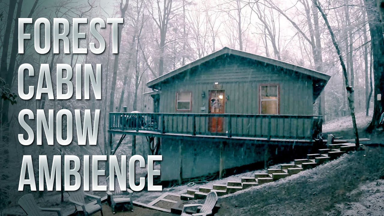 Forest Cabin Snow Ambience - Georgia Blue Ridge Mountains