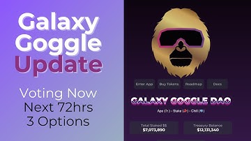 Galaxy Goggle DAO Crashes Update Voting Options for GG HOLDERS