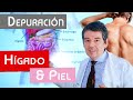 SECRETO de la depuración: SAUNA, HÍGADO & PIEL