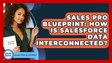 Sales Pro Blueprint: How Is Salesforce Data Interconnected? - Sales Pro Blueprint