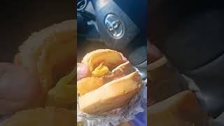 FREE BURGER DONE WRONG! CARL'S JR.  #alixearle #davidlost108pounds #FREEBIES #beggarscantbechoosers