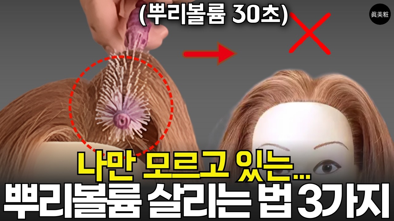 맨날 죽는 뿌리볼륨, 90%가 놓치는 '이것'만 알면 30초 만에 살아납니다