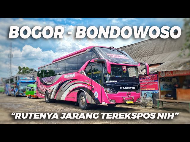 Kelas dan Rutenya Unik! Trip Bus HANDOYO yang Jarang Terekspos, 1008 Kilometer Bogor - Bondowoso #1 class=