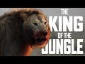 KING OF THE JUNGLE | BRUTAL MOTIVATION