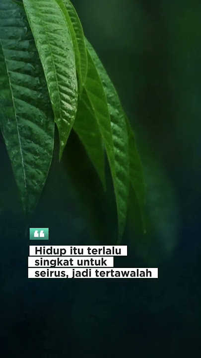 story wa 07 detik 'jadi tertawalah' #shorts #storywakeren #quotes #storyharian #viral