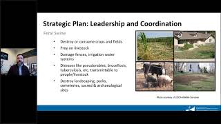 Day 1, item 2: Washington Invasive Species Council Strategy, Services and Role in IPM