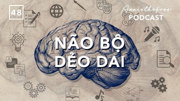 Cách não bộ giúp con người làm những điều không tưởng (Neuroplasticity)