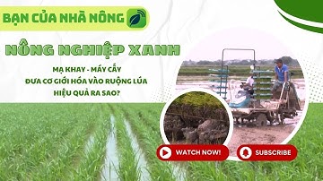 Nông Nghiệp Xanh: Mạ Khay - Máy Cấy, Đưa Cơ Giới Hóa Vào Ruộng Lúa Hiệu Quả Ra Sao?
