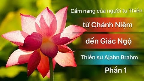 Từ Chánh Niệm Đến Giác Ngộ 1/2 || Thiền sư Ajahn Brahm