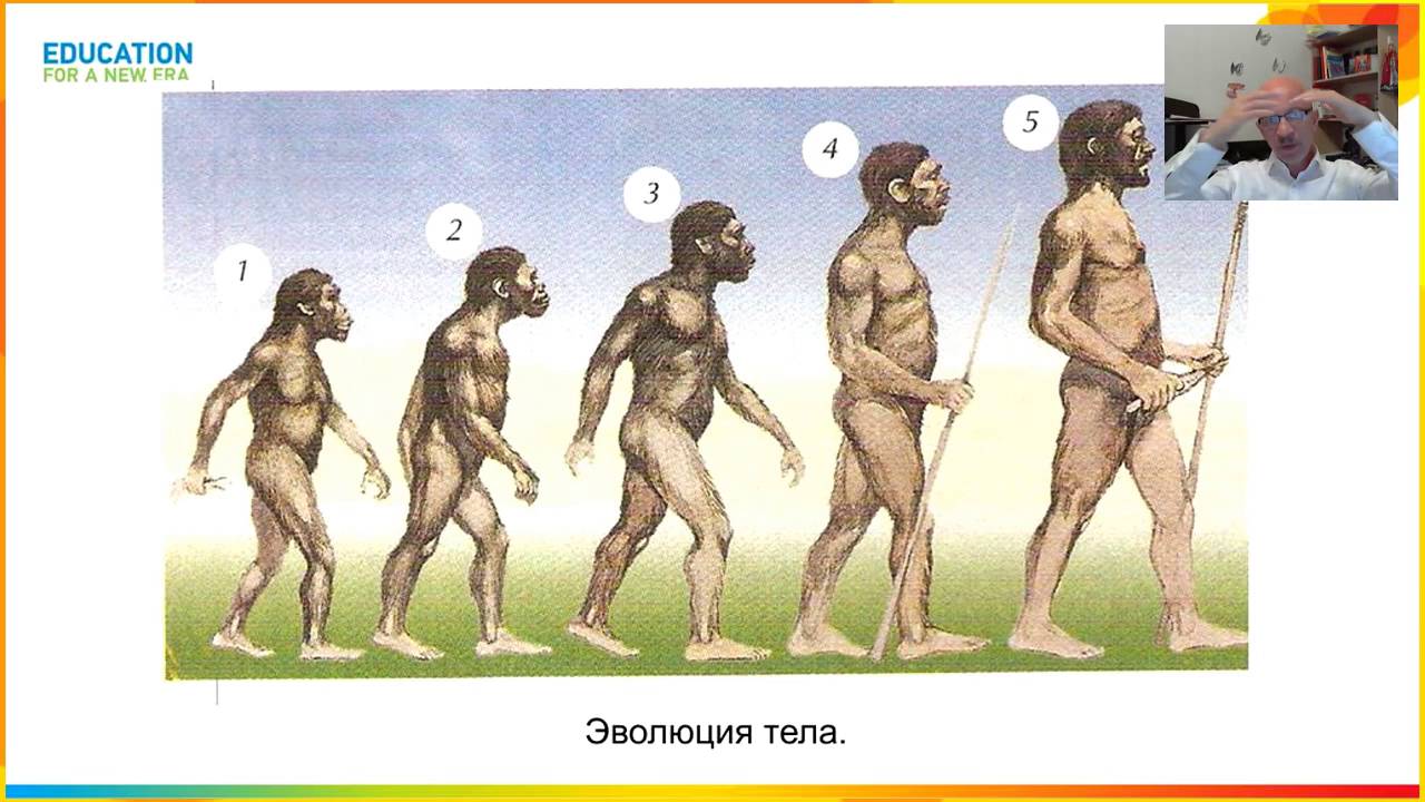Хомо сапиенс появился в эпоху. Происхождение человека. Эволюция тела. Эры эволюции человека. Происхождение человека люди эпохи.