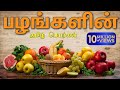    learn fruit names in tamil for kids