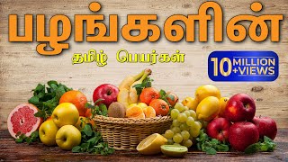 பழங்களின் பெயர்கள் | Learn fruit names in Tamil for kids.