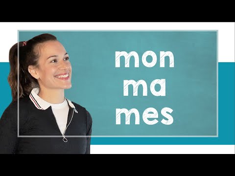 lingoni FRENCH (39) - Adjectifs possessifs et démonstratifs - A1