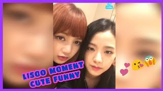 Cute Moment Auto So Sweet   Lisoo  Blackpink