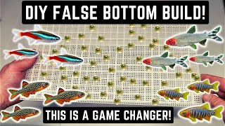HOW TO MAKE A DIY FALSE BOTTOM FOR BREEDING NANO FISH LIKE NEON TETRAS AND CELES