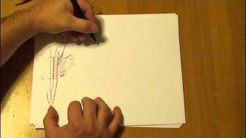 Understanding the autonomic nervous system - part 2