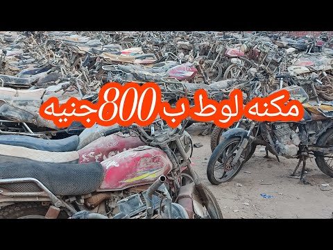 موتسكلات لوط مرور وبسعر 800جنيه اقسم لقطه ل اي حد