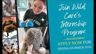 Wild Care Wildlife Rescue Internship Program 2026