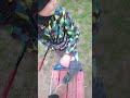 ВОНА НЕ ВЗІРВАЛАСЬ!!!!!!!!!!!!!!!!!!!!![]_[]