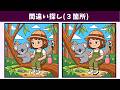 【間違い探し】誰にでもおすすめ!認知力アップ・老化予防に繋がる脳トレ動画!アハ体験にも!【クイズ】