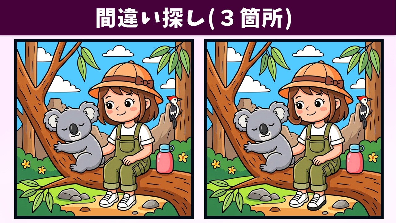 【間違い探し】誰にでもおすすめ!認知力アップ・老化予防に繋がる脳トレ動画!アハ体験にも!【クイズ】