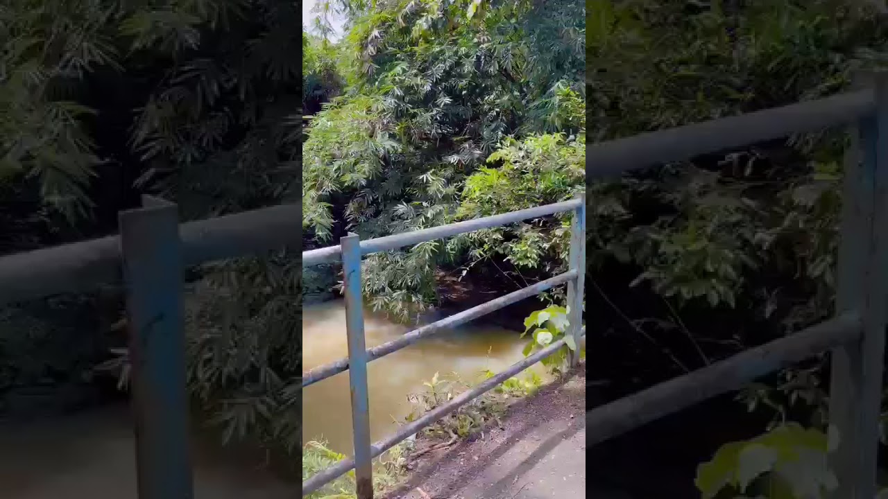 BODY RAFTING!! Citumang Pangandaran