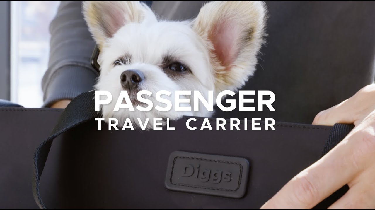 diggs travel carrier review