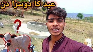 Eid ka second day ||How to celebrate with Cow ? Eid Vlog