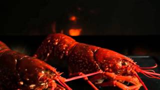Restaurant Fischers Fritz (Berlin) -Highlights-