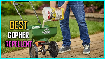 Top 5 Best Gopher Repellents [Review] - Mole & Gopher Repellent Granules/Sonic Spike Mole [2026]